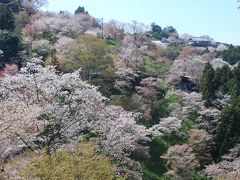 吉野千本桜