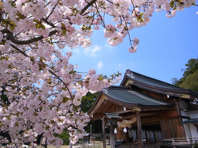 去年に引き続き、今年もお花見とお参りは出雲に決定。<br /><br />今回は女子が3人ということもあり、旅館ではなくマリンタラソ出雲に宿泊してタラソも体験。