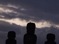 イースター島モアイ巡り　（９） Easter Island - 3rd day