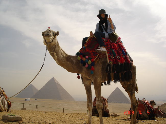 30歳の記念にピラミッドを見たいと思って行ってきましたエジプト。ピラミッド、とてもとても大きくてビックリしました。