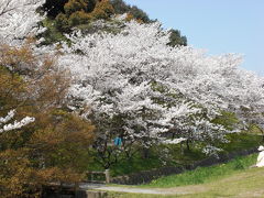 JTB旅物語九州桜紀行に参加してその一