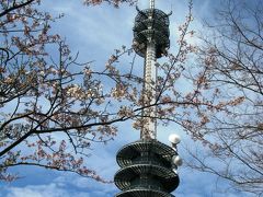 日本平はさくらの名所　☆春霞の向こうに富士山が