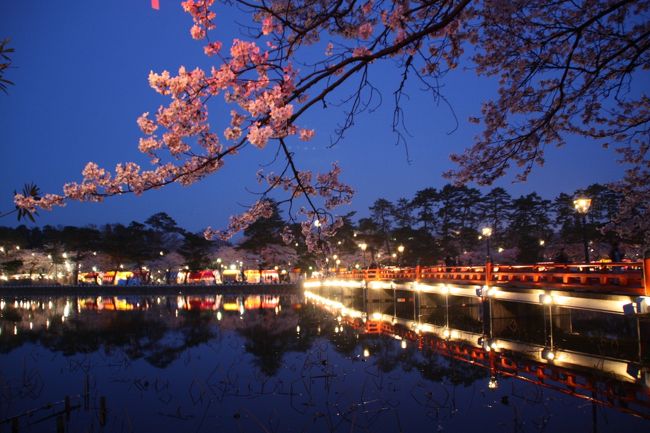 遠くまで出かけなくても京都の桜を楽しんでいれば良いのに、京都の桜に厭きたわけではないのですが、隣の花は赤いとの感覚で越後高田の夜桜が見たくなりました。<br />旅行会社のツアーだと目的地の観光時間が制限されてしまいます。折角行くのだから、夜も昼も堪能したいということで、今回は個人旅行を企画しました。<br />先週は天気が不順で気温が低く、新潟は雪の日もあったようですが、今週になって晴天となり気温も上がり心配していた桜の開花が期待できます。わくわくした気分で出かけました。<br />高田では三大夜桜と言いますが、他の2箇所はどこなんでしょうか。乗ったタクシーの運転手さんによりますと、インターネットで調べたら京都の円山公園と長崎の丸山公園だという答えが返ってきました。同じ質問をホテルになげかけてみますと、諸説色々ありますが、上越では青森の弘前城址公園と東京の上野公園を言うとのことでした。