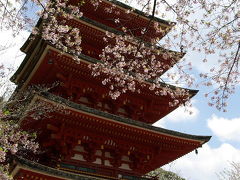 王子と行く大和路まほろばの体験　第２日目　長谷寺～室生寺～大野寺