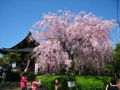 阿修羅展を見に上野へ