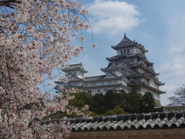 息子の卒業祝いの旅行、二日目は　メインの姫路城！<br />息子　念願の世界遺産・姫路城へＧｏ！<br />想像以上に大きいお城にびっくりっ。<br /><br />この日の宿は　神戸へ移動し「クラウンプラザ神戸」へ。
