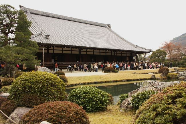京都世界遺産めぐり?　「天龍寺」<br />１９９４年に古都京都の文化財として世界遺産に登録された。<br /><br />約５ヶ月ぶりに京都の世界遺産めぐりを再開しました。<br />本当は去年のうちに全１７か所をまわるつもりでしたが、年末にドタバタしていて叶わなかったので、桜の時期にあわせ、先ずは天龍寺にやってきました。<br /><br />◎ 天龍寺<br /><br />法堂参拝券（特別公開）　５００円<br />本堂参拝券　　　　　　　１００円<br />庭園参拝券　　　　　　　５００円