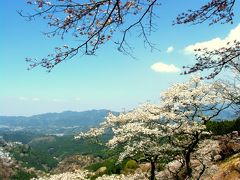 吉野千本桜と清水寺　２日間　その4
