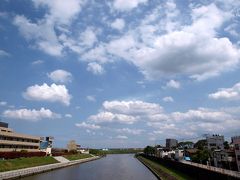 連休まじかの　荒川土手　 野草