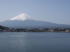 河口湖からの富士山(昼)