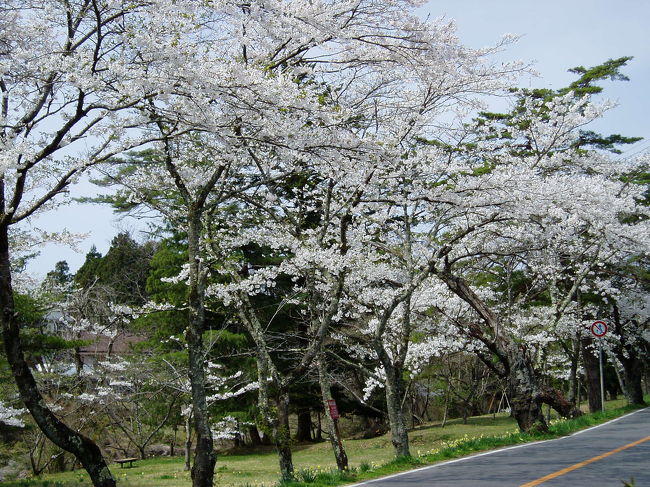 　岩手県南部にある桜の名所と言うが、高速代も１０００円なので！？初めて行ってみた。<br />