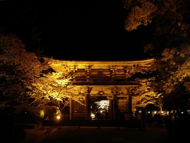 私の1番お気に入りの桜スポットです♪<br /><br /><br /><br />■ 三井寺 (長等山園城寺) ■ 西国十四番札所 <br /><br />滋賀県大津市園城寺町246 <br />TEL:077-522-2238<br />http://www.shiga-miidera.or.jp/index.htm<br /><br />天台寺門宗の総本山。<br />672年大友皇子(天智天皇の子:弘文天皇)と大海人皇子(天智天皇の弟:天武天皇)<br />が皇位継承をめぐって争い、壬申の乱が勃発。壬申の乱に敗れた大友皇子の霊を弔う<br />ために寺を創建したのが始まりとされています。<br /><br />三井寺と呼ばれるようになったのは、天智・天武・持統天皇の三帝の誕生の際に御産湯<br />に用いられたという霊泉があり「御井の寺」と呼ばれていたことに由来します。<br />現在、金堂西側にある「閼伽井屋」から湧き出ている清水が御井そのものとされています。 <br /><br />湖国近江の名勝、近江八景の一つ「三井の晩鐘」でも知られています。 <br /><br /><br />