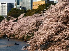 桜満開の千鳥ヶ淵緑道から北の丸公園へ　☆超混雑地帯の静寂感を