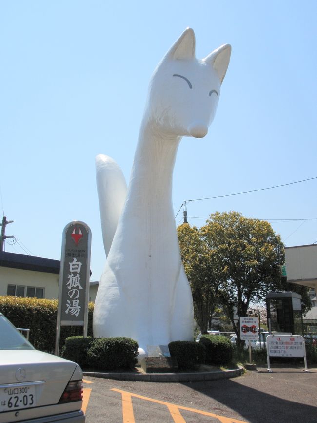 湯田温泉に行ってきました。<br /><br />湯田温泉に泊まるのは2度目ですが、今回は老舗の松田屋さんに泊まってみました！