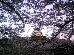 2009 春　大阪城花見