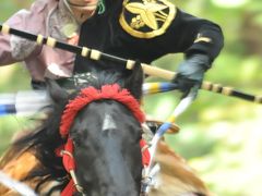 鎌倉ぶらぶら散歩【流鏑馬神事】＜?流鏑馬神事(後編)～鶴岡八幡宮～段葛＞