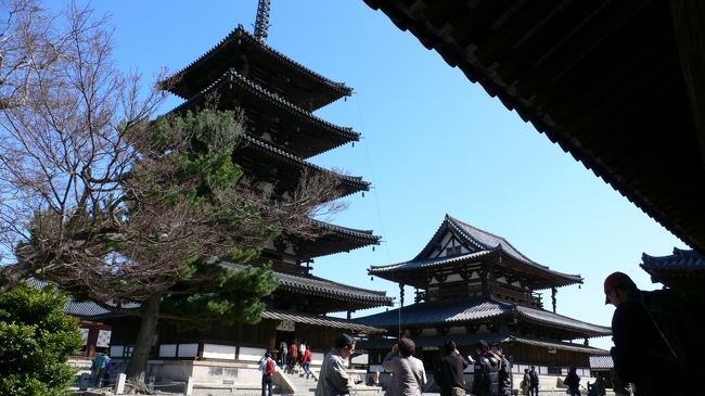 今回はびゅうのツアーで『こだま号で行く奈良』という、お得なパックで１泊２日の奈良の旅をしました。<br />京都までの往復のこだま号とホテル日航奈良の素泊まり１泊がセットになっています。事前に近鉄と奈良交通のフリーパスを購入しました。これで２日間移動です。<br /><br />奈良の見どころは・・・と修学旅行の記憶をたどりましたが、はっきり覚えていないので、『ことりっぷ　奈良』を購入し、プランをたててみることにしました。<br /><br />1日目<br />東大寺（二月堂他）→若草山→春日大社→興福寺→奈良国立博物館（時間切れ）<br />2日目<br />法隆寺→中宮寺→法輪寺→薬師寺→唐招提寺<br /><br />電車やバスを使って移動すると地理が頭に入って良いなと思いました。