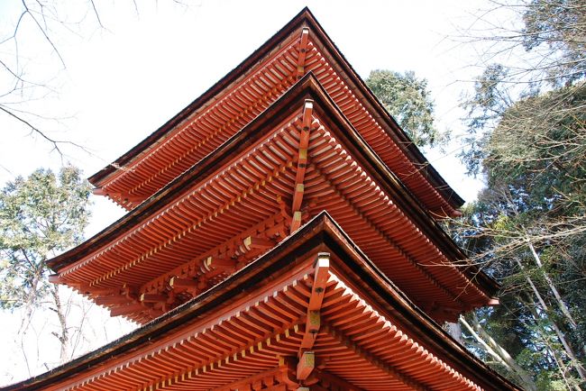 ３月はじめの日曜日、天気がよかったので京都府南部、加茂にある浄瑠璃寺を訪れました。この日はすぎ花粉が酷くてちょっと辛かったので、浄瑠璃寺のみで帰宅しました。