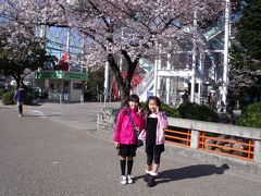 桜満開の東山公園