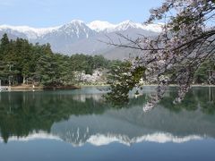 南信州の桜?（千人塚公園）