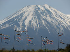 富士山と鯉のぼり(３)=朝霧高原こいのぼりの丘=