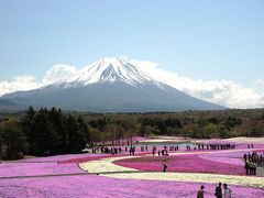 「富士芝桜まつり」を見てきました