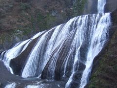 新しい観ばく台