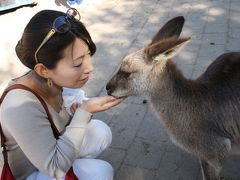 １１日間　オーストラリア　東海岸４都市周遊　カンタスCクラス利用