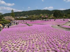 春爛漫！花のじゅうたんと満開の牡丹　永澤寺（ようたくじ）　兵庫県三田市