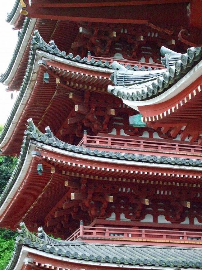 今回のツーリング!帰りに笠岡の干拓地の菜の花畑〜福山城〜明王院〜草戸稲荷と訪れました。