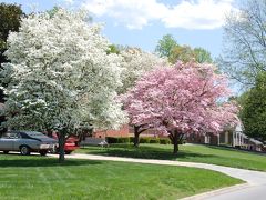 East Tennessee in Spring