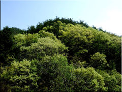 新緑の甲斐駒ケ岳へ。