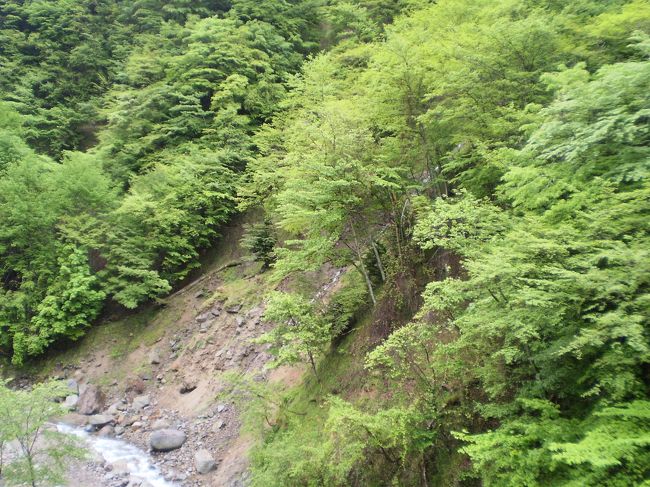 近場のにごり湯に行ってきました。<br />奥鬼怒温泉「加仁湯」です。<br /><br />すこし、歩こうと思いましたが、雨のため断念。<br />宿に直行です。<br />温泉三昧に切り替えでした。<br />自前のお昼を食べ、温泉に、たまたま掃除後にあたりいつもの露天は透明でした。掃除の方は、しばたく立つと白濁るよといってました。天候などで濁り方が違うそうです。でも、いつものお湯です。つるつるするし、硫黄のにおいがしてきます。<br /><br />何回は入りましたかね。<br />良いお湯です。<br /><br />夜別の露天に入っているとライトアップしている岩場に何か動いているものを見つけました。目怒らしていると(メガネがない!)どうも鹿のようです。岩場を横切っています。<br />ここでは、サルは見ますが鹿は初めてです。ウレピー!しかし、メガネがないので形だけか?<br /><br />翌日は、雨も上がり前の日歩けない分歩いて下ることにしました。マイナスイオンを一杯浴び気持ちよく歩いてしまい。休憩も取らずに到着。連れはぶーぶーと言ってました。<br /><br />また期待良い温泉です。