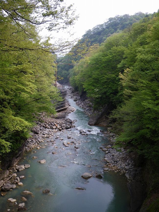 2009年GW。群馬県の川原湯温泉へ行ってきました。八ッ場ダム建設によってダムの底に沈んでしまう予定の温泉ですが、沈む前に一目見たいということでの訪問でした。<br /><br />行程中の他の場所については、以下でご紹介しています。<br /><br />渋川・伊香保<br />http://4travel.jp/traveler/teruko/album/10332577/<br /><br />六合村<br />http://4travel.jp/traveler/teruko/album/10332584/<br /><br />【行程】<br /><br />１日目（5月2日）　未明（am2:00）千葉の自宅発。柏IC→外環道→関越道→駒寄PA→渋川伊香保IC→道の駅「こもち」→六合村・道の駅「六合」→野反湖→六合村「花楽の里」→川原湯温泉・やんば館→川原湯温泉・山木館（泊）<br /><br />２日目（5月3日）　川原湯温泉→吾妻渓谷（散策）→榛名湖→伊香保温泉→水沢うどん街道（昼食）→駒寄PA（スマートIC）→関越道→練馬IC→都内一般道経由で千葉へ<br /><br /><br />