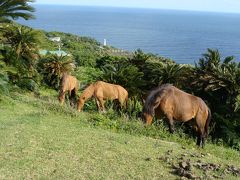 2泊3日子連れで宮崎の旅　観光編