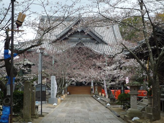 青春１８切符を利用して、和歌山県の第ニ番札所「救世観音総本山　紀三井寺」へ行ってきました。<br /><br />ＪＲ紀三井寺駅から徒歩１０分で山の麓に着きますが、そこから２３１段の「結縁坂」を上っていきます。<br /><br />桜の名所でもあるので、桜の季節４月上旬がとても綺麗。