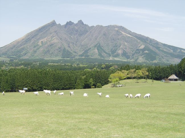 大分-湯布院-阿蘇-高千穂-霧島-熊本に行ってきました。<br />やまなみハイウェーはやっぱり景色良いですね、でも時期が少し早かったかも、新緑まではもう少し、阿蘇の大観峰はお勧めです。360度の展望とはこのことを言うのかな。<br />