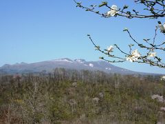 2009.5 北海道を歩こう！フットパス…【ポロト自然休養林】湖と水芭蕉と樽前山