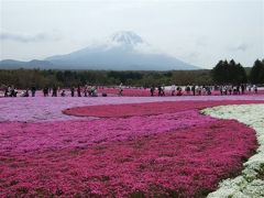 2009.05富士芝桜まつり-2