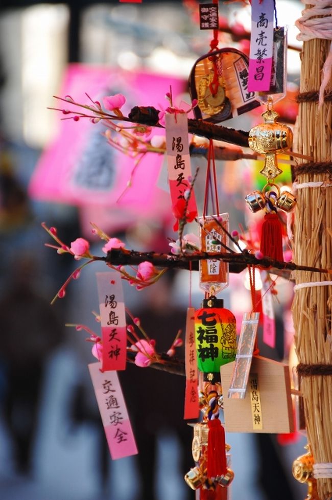 湯島天満宮に行ってきました。天神様の梅祭りとしてこの期間は賑わう場所です。<br /><br /><br />とりあえず、境内ヘ入ったのですがお腹が空いていたので来る途中にあったこちらの天ぷら屋さんで天丼を。。。6氏が金持ちと間違われたのかカウンターに通されて、目の前で板前さんが天ぷらを揚げる所をガキンチョのように食い入って見ていました（笑）<br /><br />そして満腹になって天満宮に戻って観光。梅はあまり咲いていなかったのですが、参拝の人や参道の出店やら賑やか。天気も良くて温かい春の陽気な観光になりました。<br /><br /><br />今年は、寒さが続いたので例年ならば今頃は５分以上咲いているはずなのですがほとんどの梅の木は2.3分咲き。。。それは関係なく境内は大勢の観光客で賑わっていました。本堂左手の庭園が梅祭りの場所になっていますが、猿回しの芸が演じられていました。<br /><br /><br />次は岩崎邸へ。