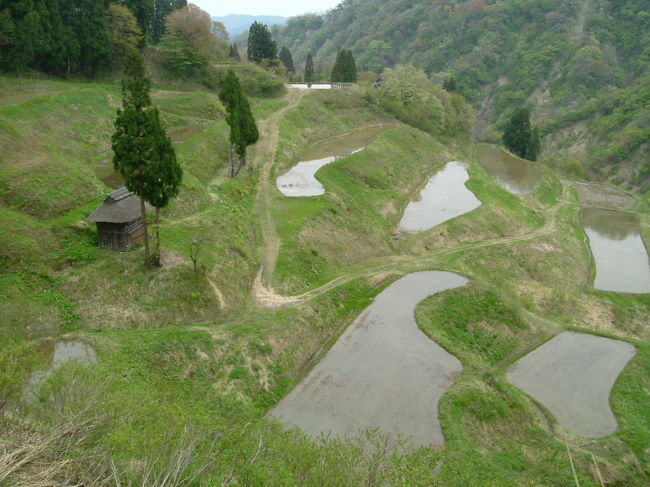 ２００９年５月連休に松之山～大厳寺高原～津南～秋山郷に車で出かけました。<br />例年より少雪で気温も高かった春の訪れだったようですが、それでも山はまだ雪も残っており、新緑の美しい風景を満喫できた旅でした。<br /><br />