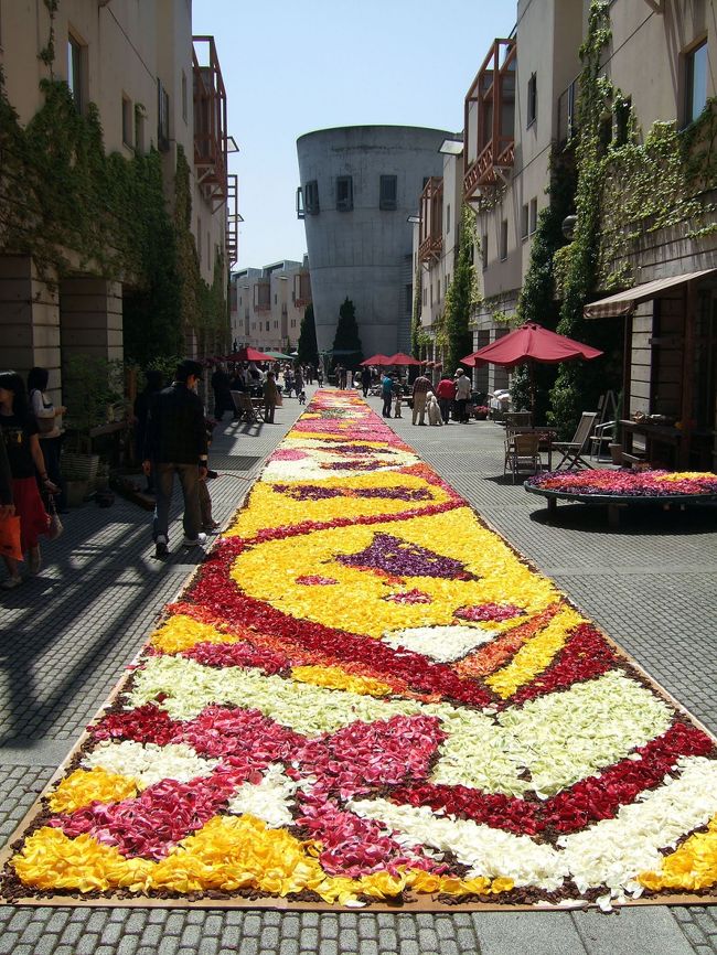 　毎年恒例、今年で５年目になる、小淵沢のリゾナーレで行われる花の絨毯です。<br />　今年は、版画家の雨宮千鶴さんのデザインでテーマは「八ヶ岳　春の贈り物　〜大地・空気・自然の力を贈る〜」だそうです。