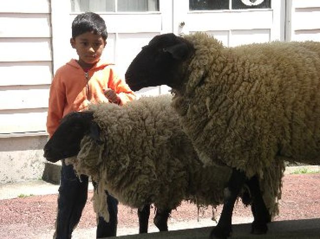 遊覧船を降りた後、目の前にある浜松市動物園とフラワーパークへ。情報収集したときには見つからなかった動物園のHPもイマサラながら無事見つかりました（笑）。<br />小学生（低学年）幼稚園の子供たちが遠足でたくさん来ていました。浜松の子供たち、いいな〜〜。<br />やっぱり動物園、楽しめますね〜♪息子よりオトナのほうが楽しめたかも（笑）。<br /><br />浜松市動物園　<br />http://www.city.hamamatsu.shizuoka.jp/hamazoo/<br />はままつフラワーパーク<br />http://www.e-flowerpark.com/<br />