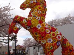 十和田市現代美術館とその周辺