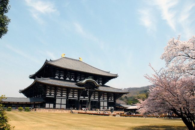 奈良公園と東大寺（作成中）