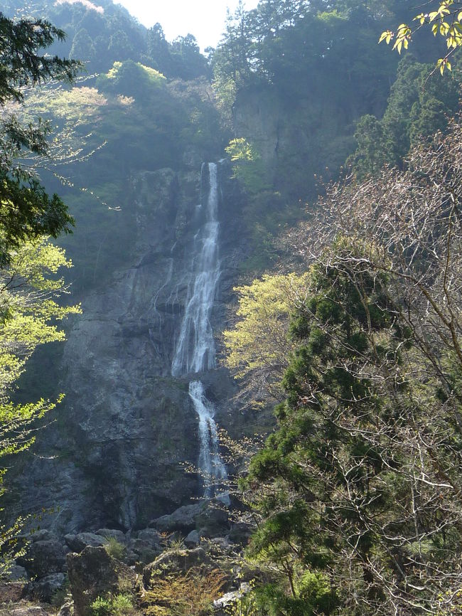 ＧＷの後半（5/2〜5/6）には午前中に仕事が不定期に入ってしまいそうなJOECOOLだったので、前半の「昭和の日」に奈良県の山奥に滝めぐりに出かけました。<br /><br />最初の２ヶ所は幸先の良くないスタートとなってしまい、時間をロスしましたが、後半に行った滝は素晴らしいものばかりで、大満足の滝めぐりでした。<br />まずは、『琵琶の滝』をご紹介します。