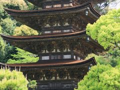 めざせ感動の大分：伝建・温泉・石仏・童謡：日本人の心を探る旅初日