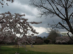 2009年GW 道南の旅 初日（前編：桜巡り）