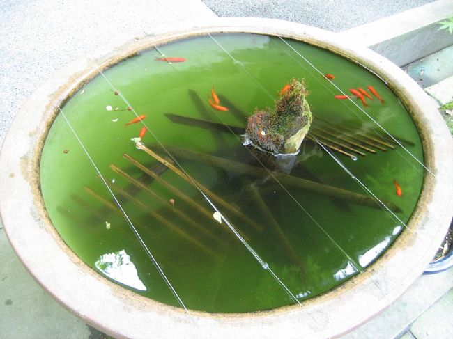 一年ぶりに鎌倉へ行きました。<br /><br />今回は<br />鶴岡八幡宮、報国寺、銭洗弁天　<br />という方向的にもバラバラなところへ行きました！<br />