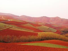 大地のパレット